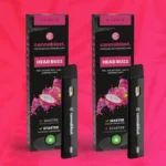 Head-Buzz DRAGON FRUIT​